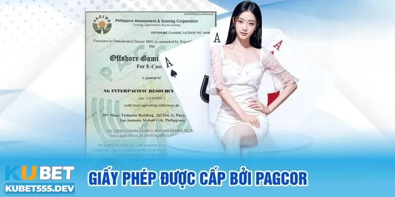 Các loại giấy phép Kubet hiện đang sở hữu